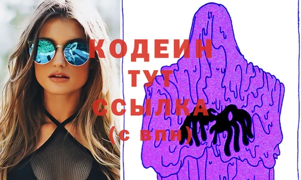 молекула духа Арсеньев