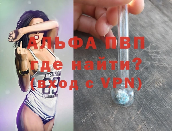 молекула духа Арсеньев