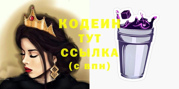 молекула духа Арсеньев