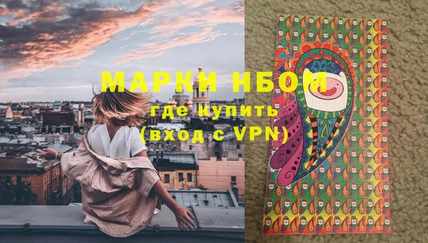 молекула духа Арсеньев