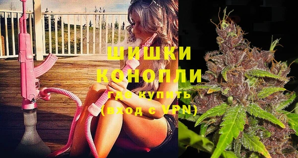 молекула духа Арсеньев
