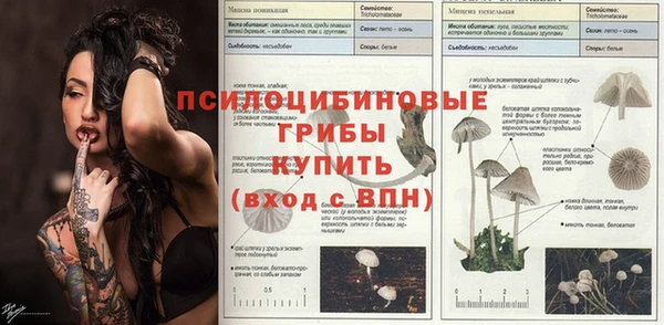 МДМА Нязепетровск