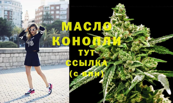 молекула духа Арсеньев