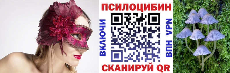 omg как зайти  Бабаево  Псилоцибиновые грибы ЛСД 